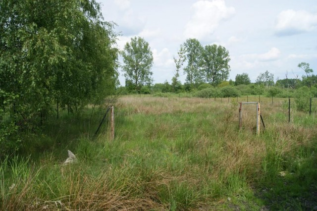 Działka rolna Nowy Orzechów. Zdjęcie 1