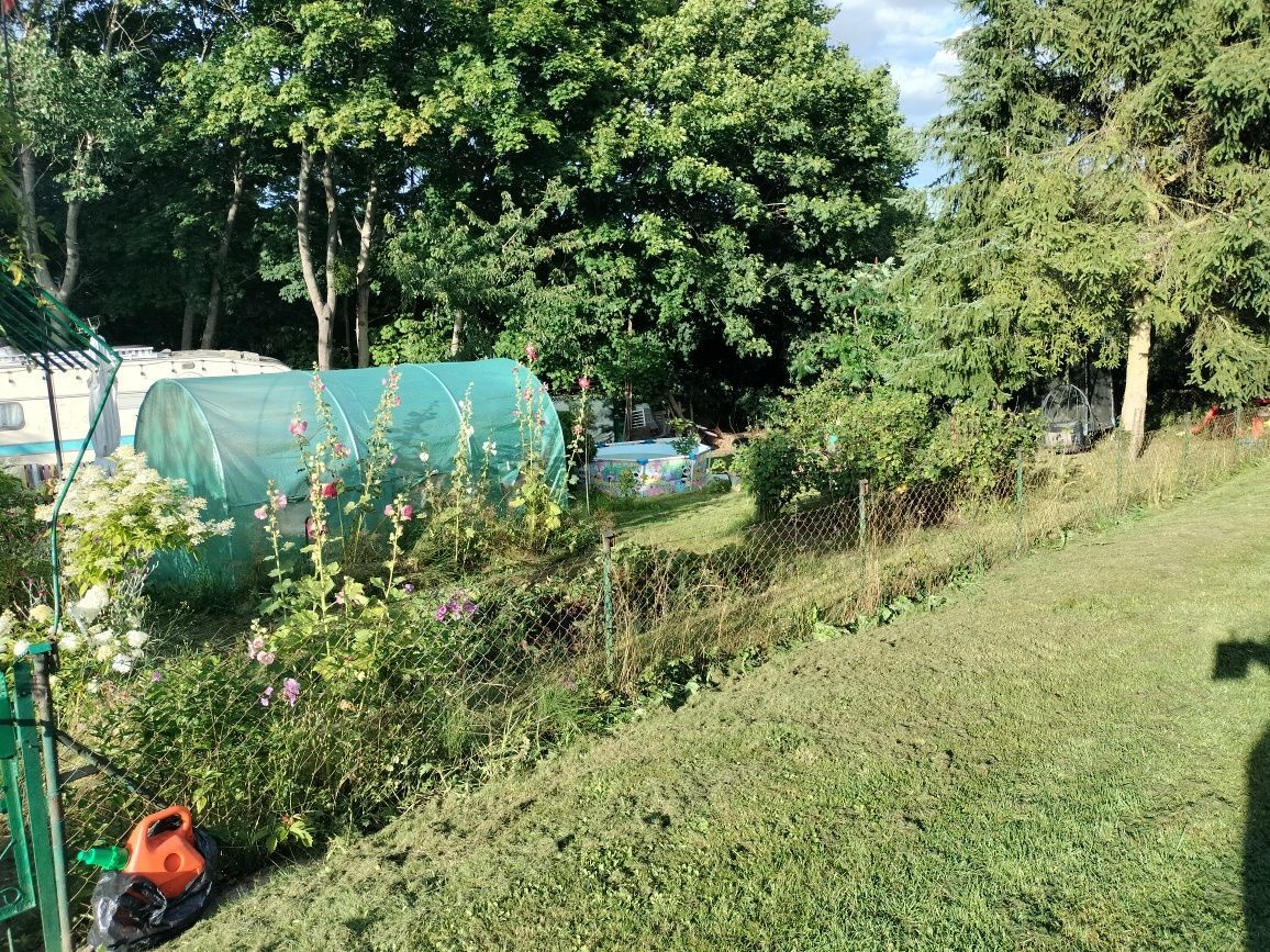 Działka rod Straszyn, ul. inż. A. Hoffmanna. Zdjęcie 7