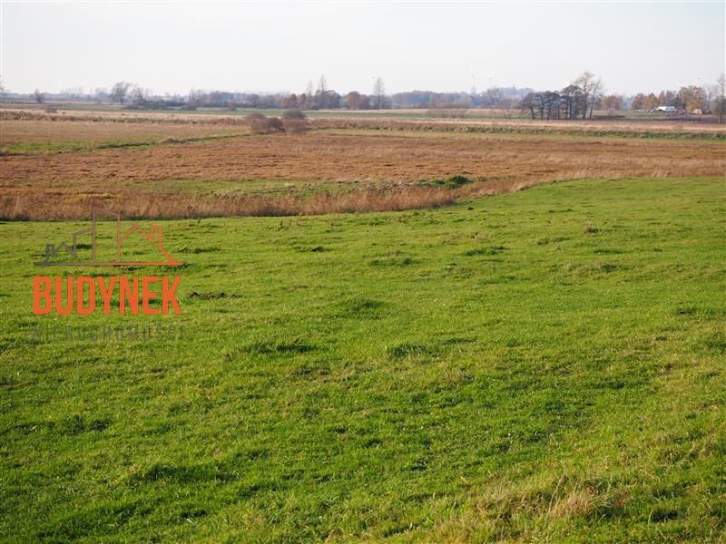 Działka rolna Krupy. Zdjęcie 3