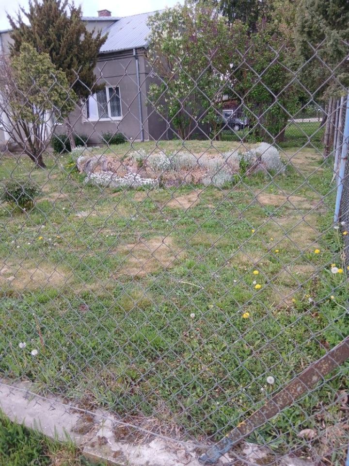 siedlisko Pęczki-Kozłowo. Zdjęcie 3