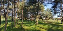 Działka budowlana Szydłów. Zdjęcie 4