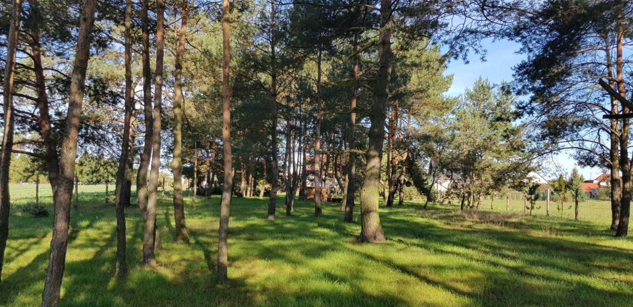 Działka budowlana Szydłów. Zdjęcie 5