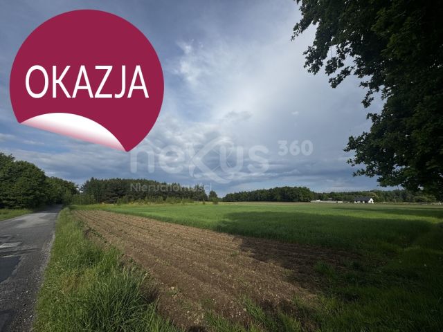 Działka budowlana Sądrożyce. Zdjęcie 9