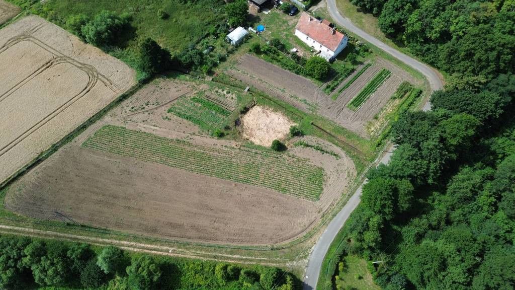 dom wolnostojący, 4 pokoje Siekierowice. Zdjęcie 3