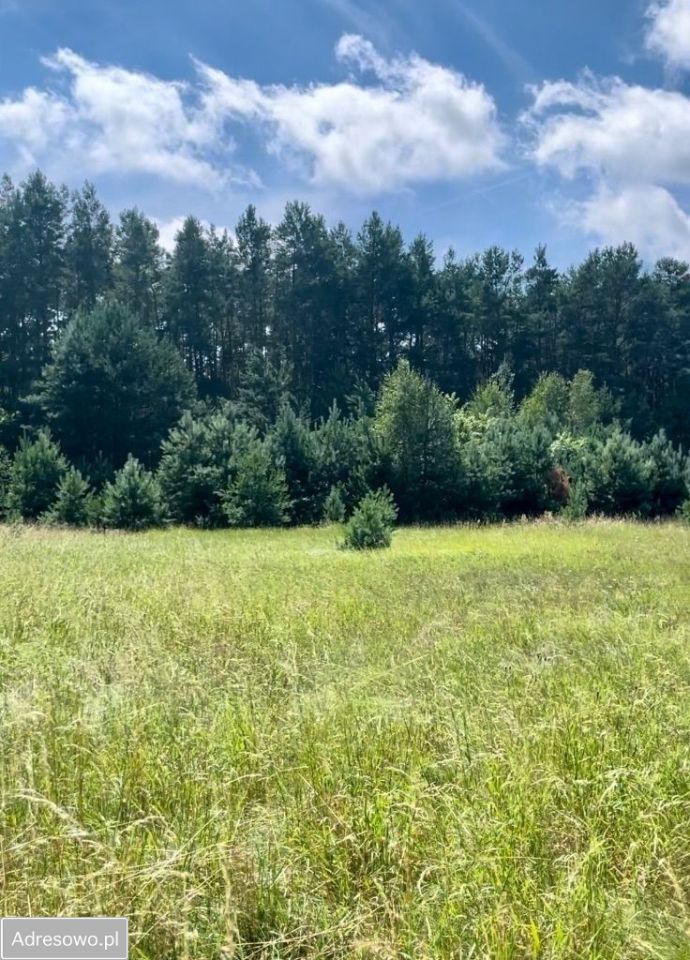 Działka Prądki. Zdjęcie 3