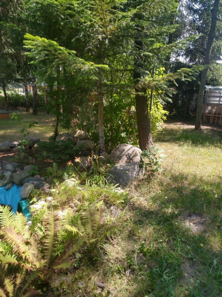 Działka rekreacyjna Szczechy Małe. Zdjęcie 6