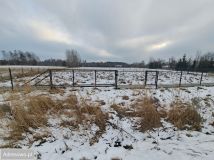 Działka rolno-budowlana Osina. Zdjęcie 3