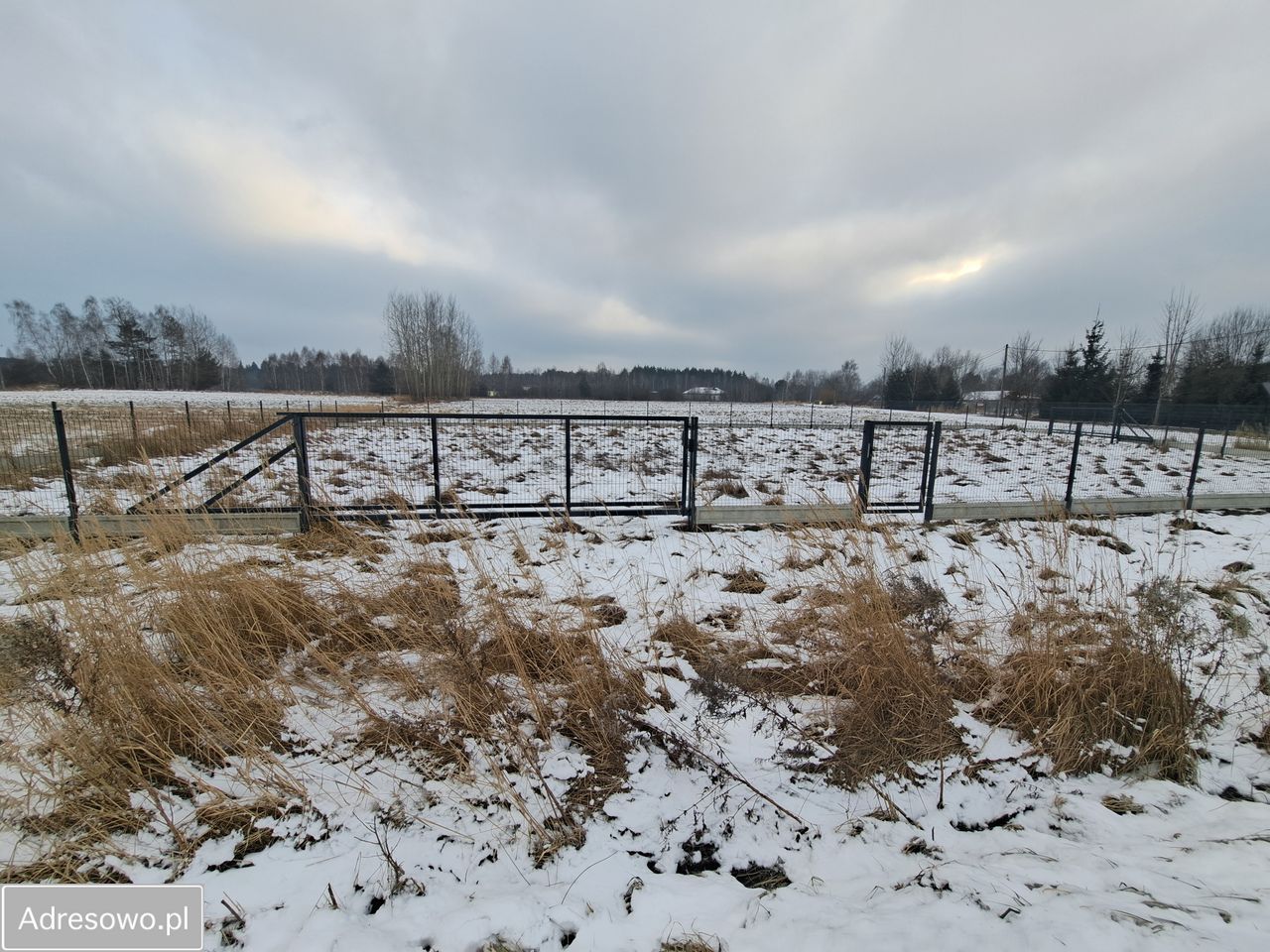Działka rolno-budowlana Osina. Zdjęcie 4