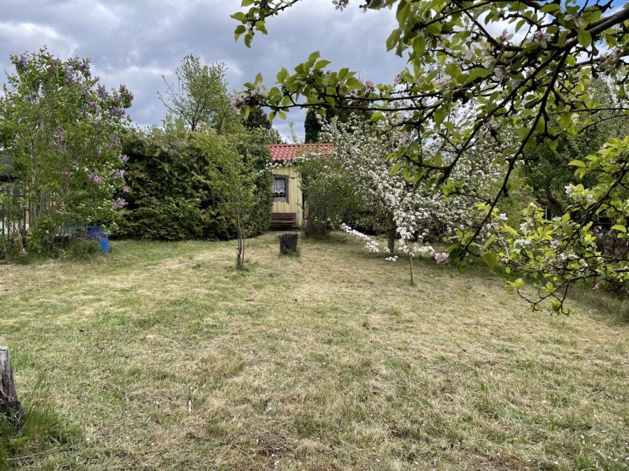 Działka rod Gdańsk Morena, ul. Wołkowyska. Zdjęcie 2