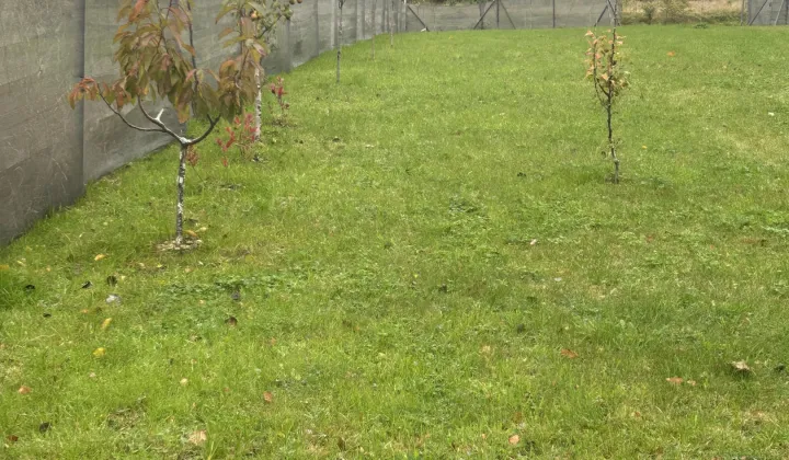 Działka budowlana Czeczewo, ul. Czeczewska