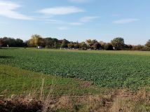 Działka budowlana Mietków, ul. Bystrzycka. Zdjęcie 3