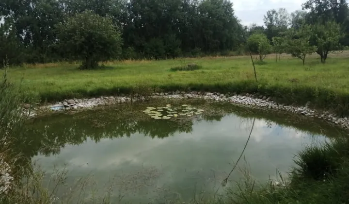 Działka budowlana Pomocnia