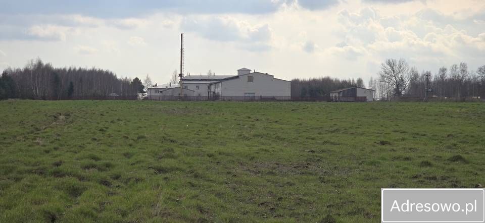 Hala/magazyn Guzów-Kolonia. Zdjęcie 8