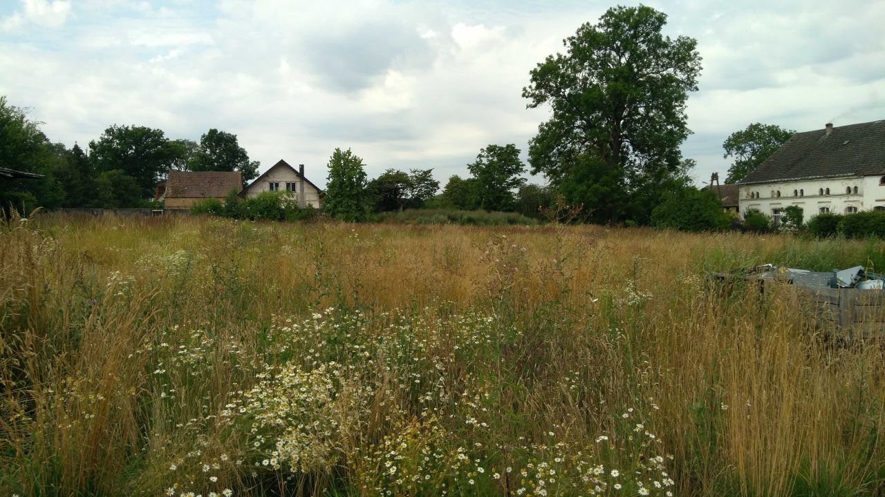 Hala/magazyn Włodzisław. Zdjęcie 6