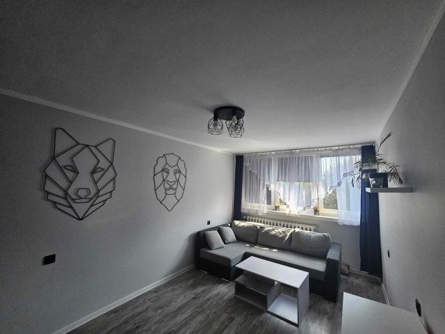 Mieszkanie 2-pokojowe Gryfów Śląski, ul. Henryka Sienkiewicza. Zdjęcie 1