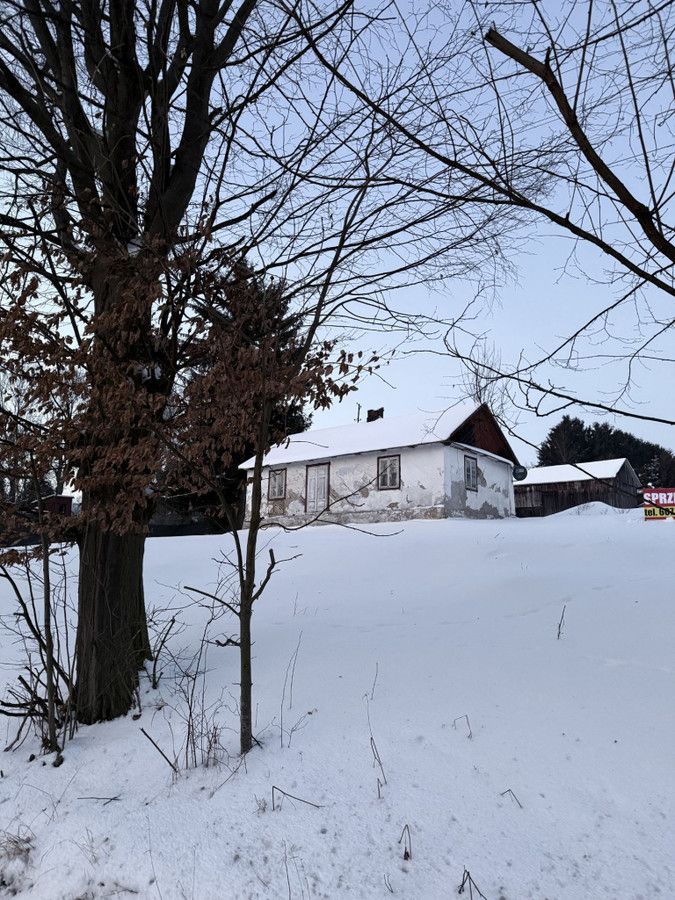 Działka budowlana Palikije Drugie. Zdjęcie 4