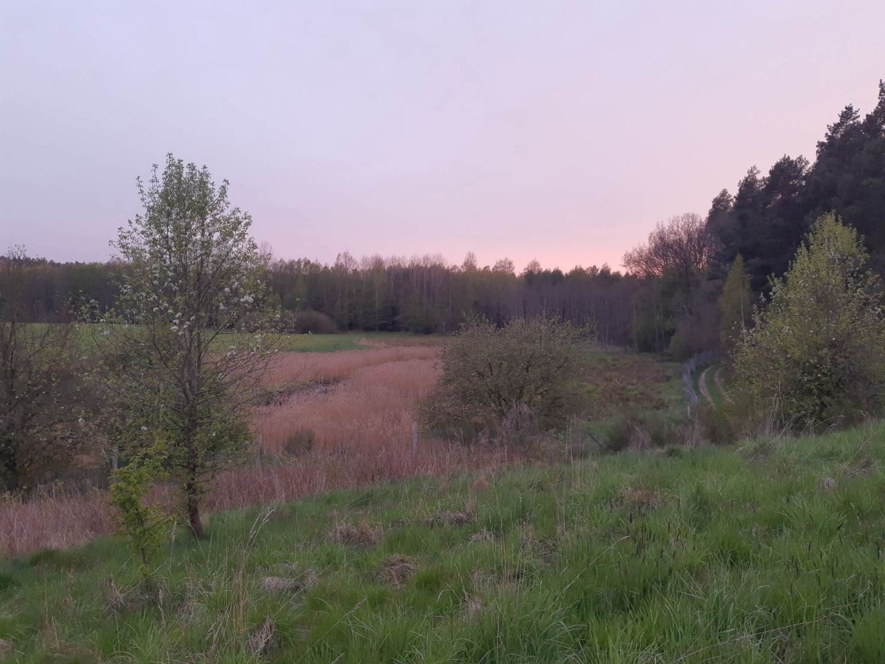 Działka budowlana Łukta, Łukta. Zdjęcie 13