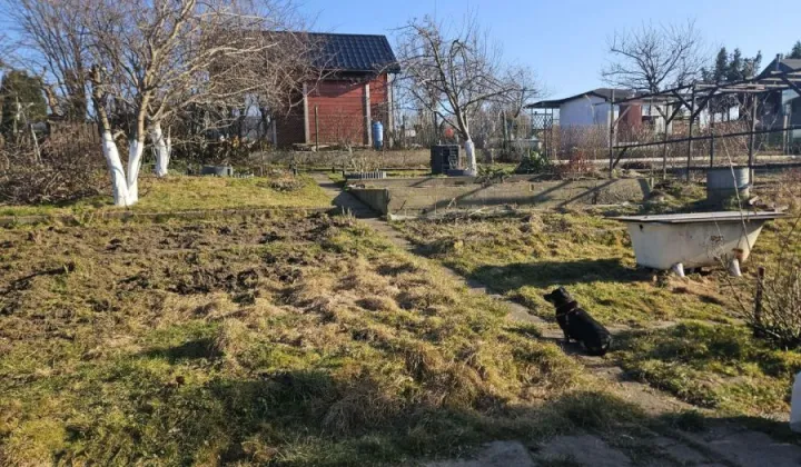 Działka rod Gdynia Mały Kack