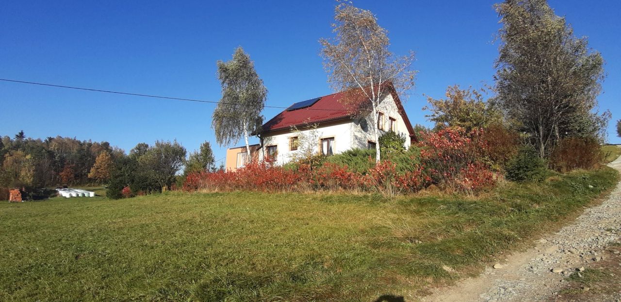 dom wolnostojący, 5 pokoi Grybów Biała Wyżna. Zdjęcie 4