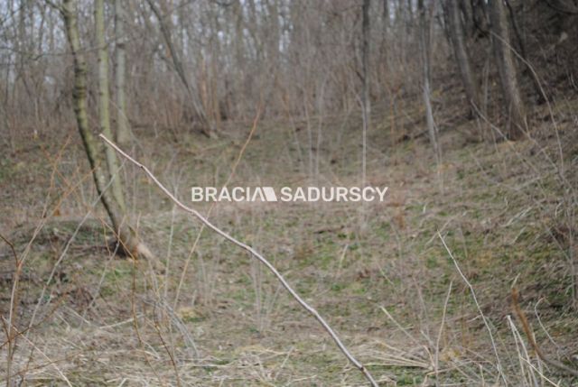 Działka leśna Malkowice. Zdjęcie 5