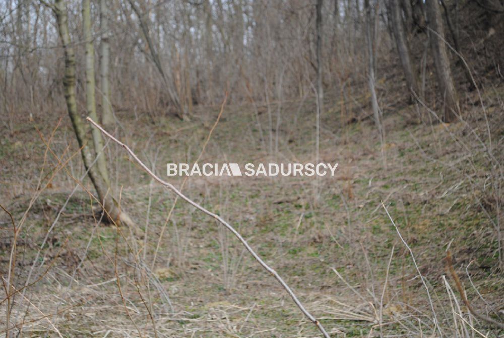Działka leśna Malkowice. Zdjęcie 5