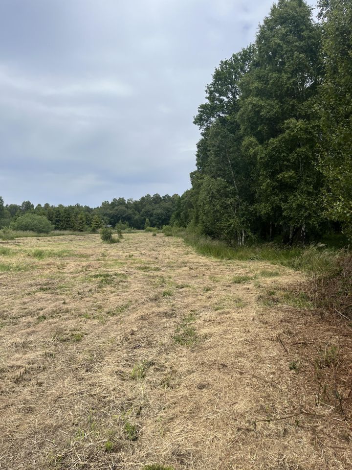 Działka rolna Sasino, ul. Wiatrowa. Zdjęcie 6