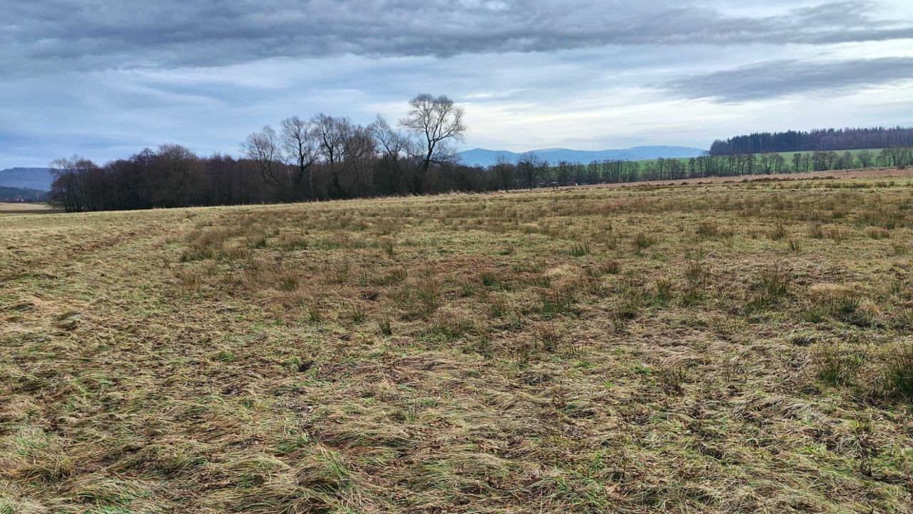 Działka budowlana Gorzanów. Zdjęcie 2