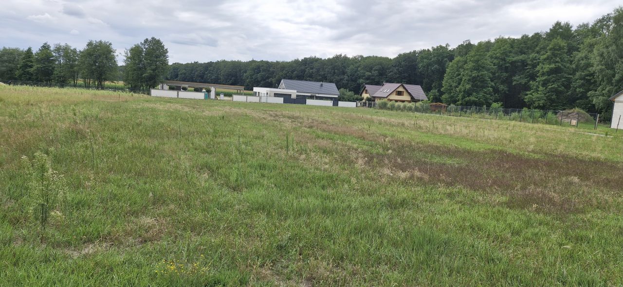 Działka budowlana Grodzisk Wielkopolski. Zdjęcie 3