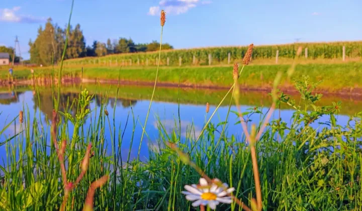 Działka rolno-budowlana Grądy