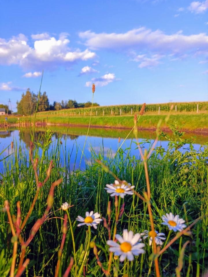 Działka rolno-budowlana Grądy