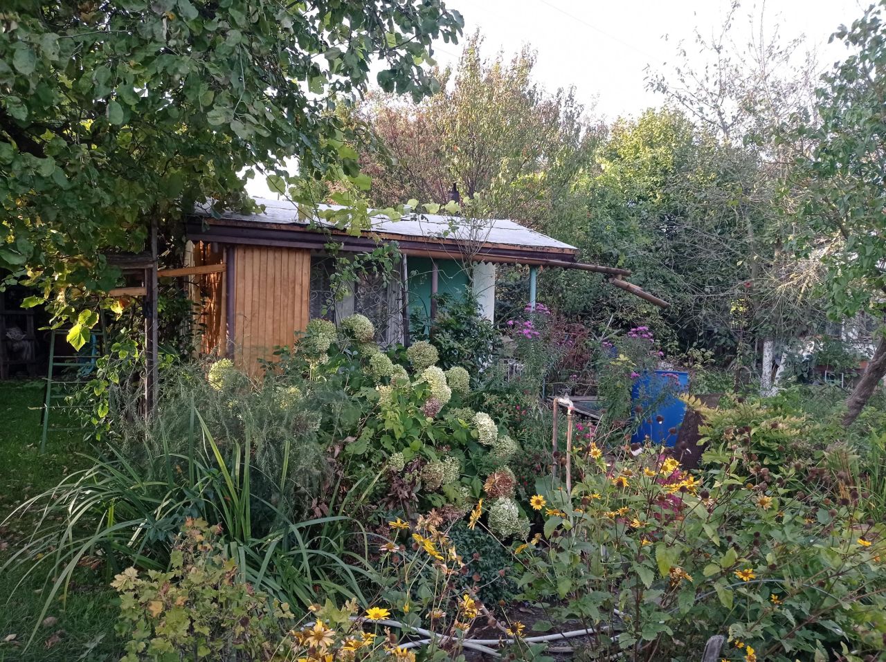 Działka rod Międzyrzecz, ul. Piastowska. Zdjęcie 7