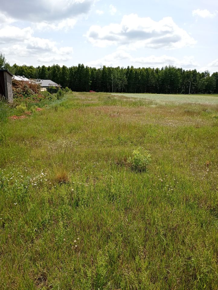 Działka rolno-budowlana Aleksandria Aleksandria Druga, ul. Gwiezdna. Zdjęcie 6