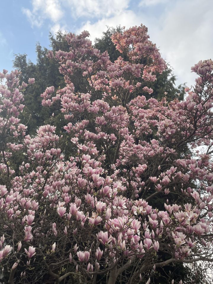 Mieszkanie 2-pokojowe Warszawa Mokotów, Woloska/ Madalinskiego. Zdjęcie 10