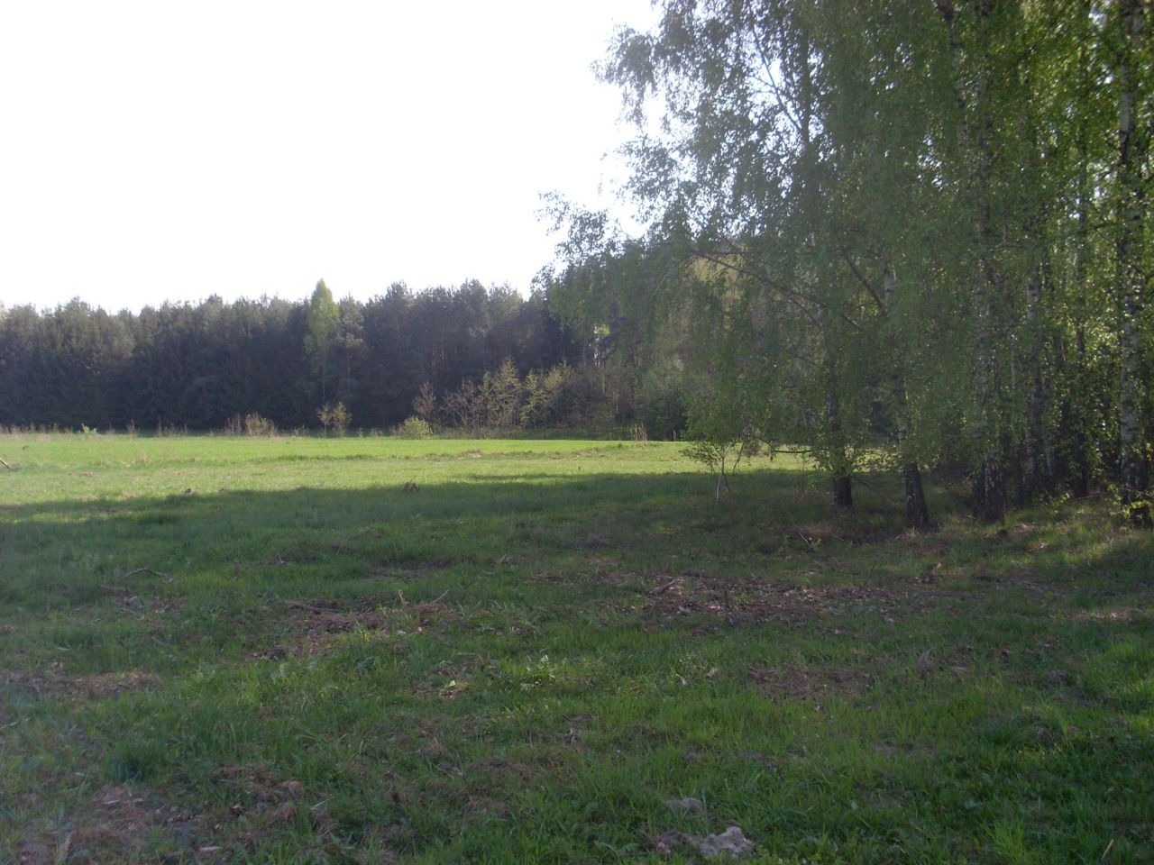 Działka budowlana Gurba, ul. Główna. Zdjęcie 6