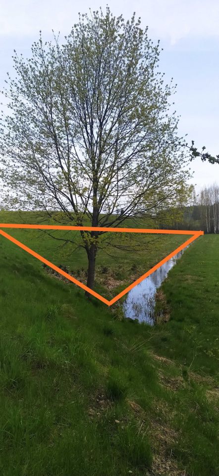 Działka Grauże Nowe. Zdjęcie 4