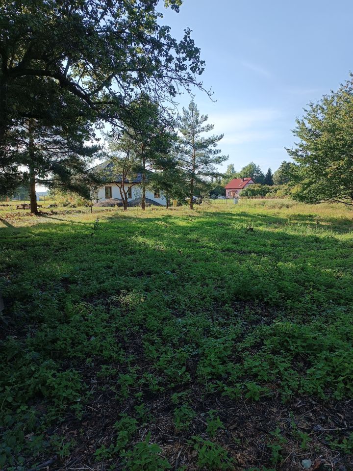 Działka budowlana Pęgów, ul. Południowa. Zdjęcie 3