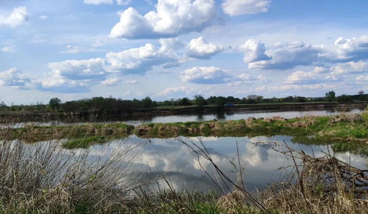 Działka rolna Brzuza