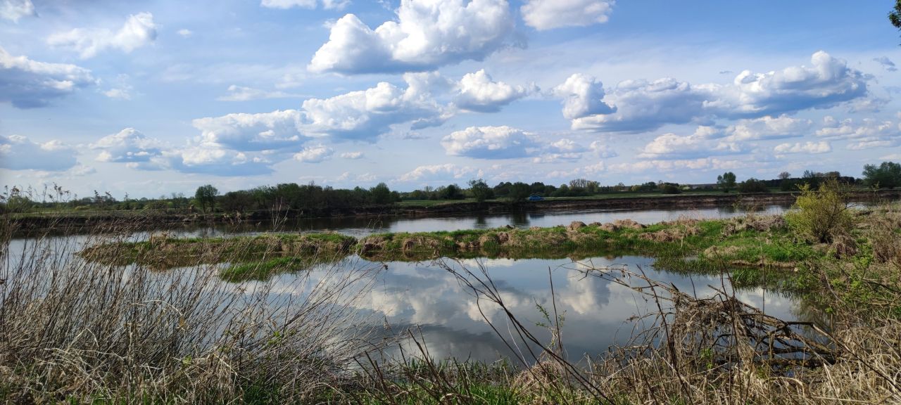 Działka rolna Brzuza