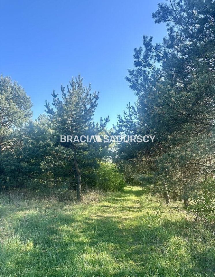Działka rolno-budowlana Rokitno Szlacheckie. Zdjęcie 12
