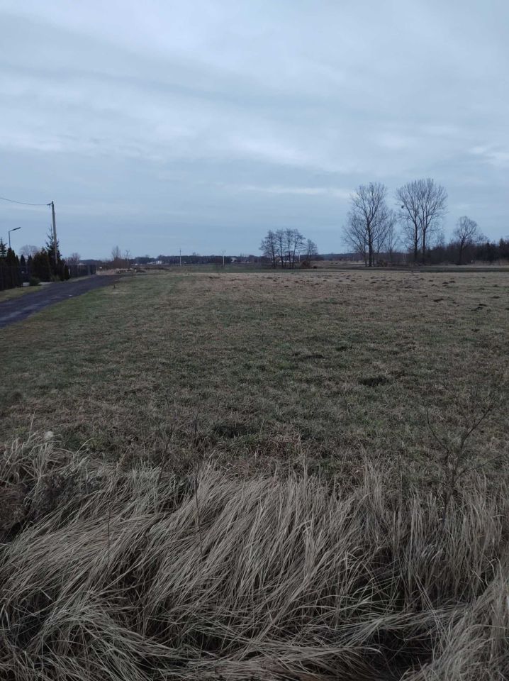 Działka budowlana Borki. Zdjęcie 3