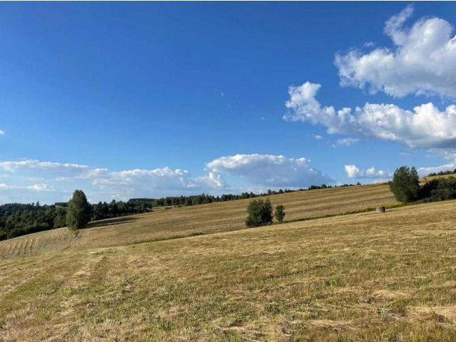 Działka siedliskowa Potoczek. Zdjęcie 1