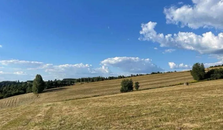 Działka siedliskowa Potoczek