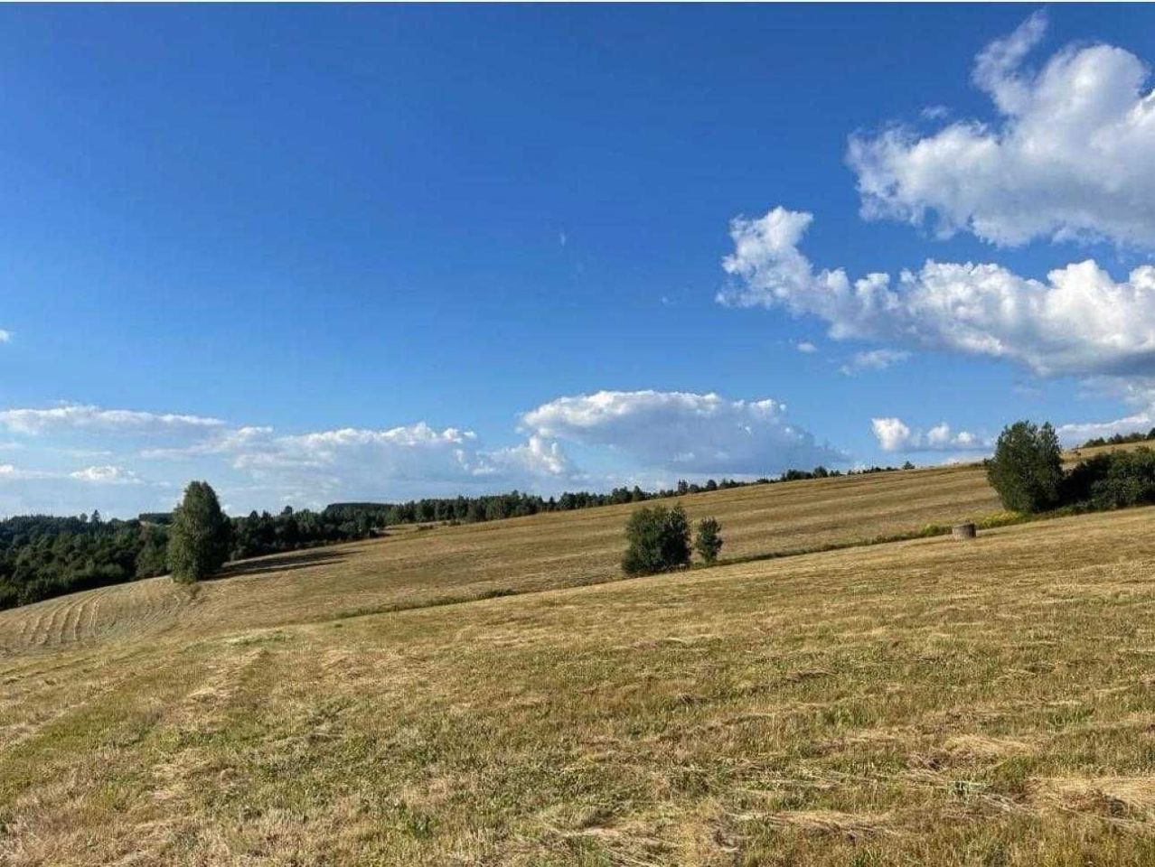 Działka siedliskowa Potoczek. Zdjęcie 1