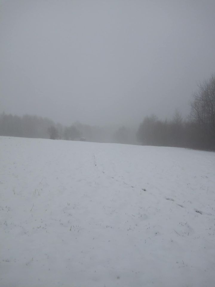 Działka rolna Gilowice Stary Dwór, ul. Działy Dworskie. Zdjęcie 3