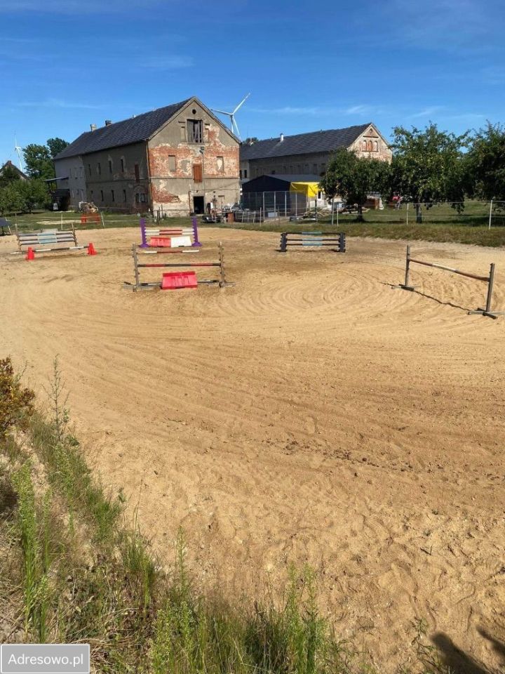 Nieruchomość komercyjna Osiek Łużycki. Zdjęcie 11