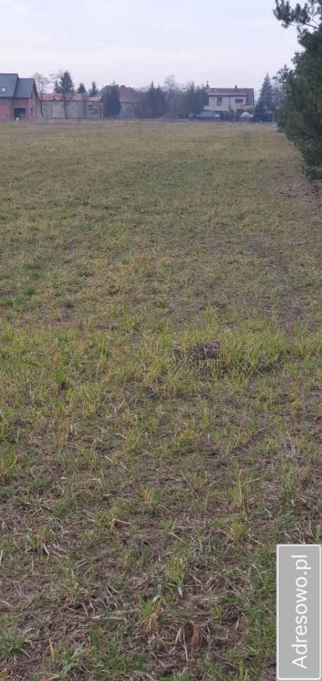 Działka budowlana Czeszewo. Zdjęcie 7