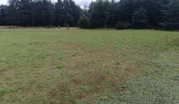 Działka budowlana Stara Huta Wielgie Sycowskie