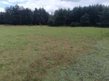 Działka budowlana Stara Huta Wielgie Sycowskie