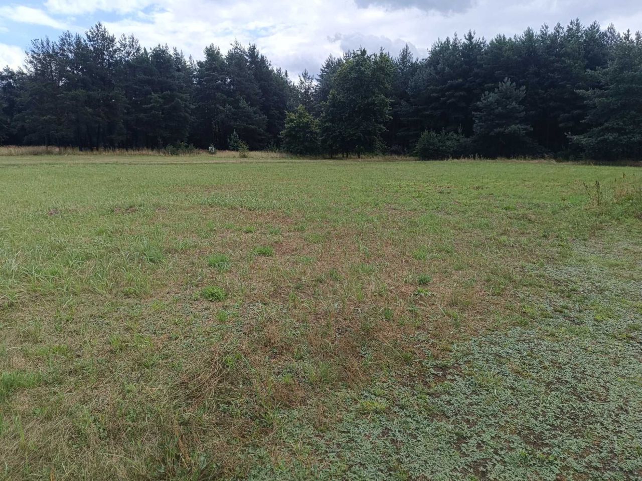 Działka budowlana Stara Huta Wielgie Sycowskie