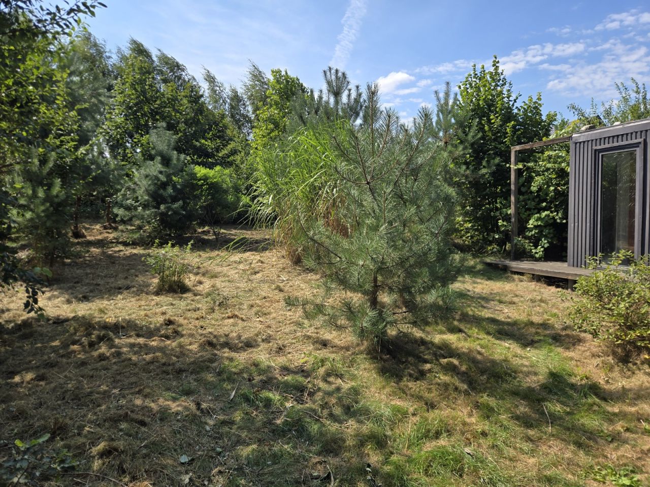 Działka budowlana Mikołów Paniowy, ul. Kąty